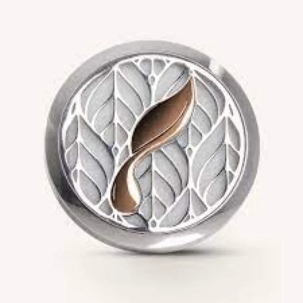 Car Vent Diffuser- set of 4 - Picture 2 of 3